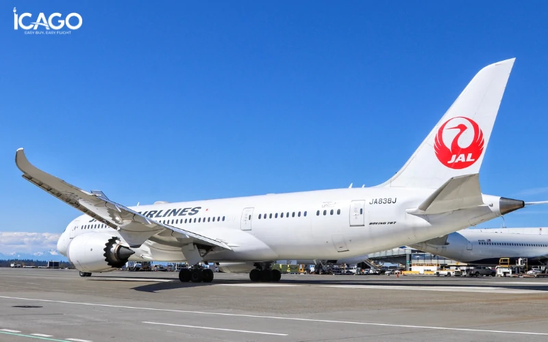 Hãng hàng không Japan Airlines