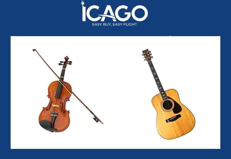 Hãng cho phép mang theo một số nhạc cụ nếu kích thước phù hợp với quy định